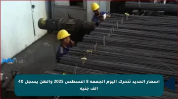 أسعار الحديد تتحرك اليوم الجمعة 8 أغسطس 2025 والطن يسجل 40 ألف جنيه